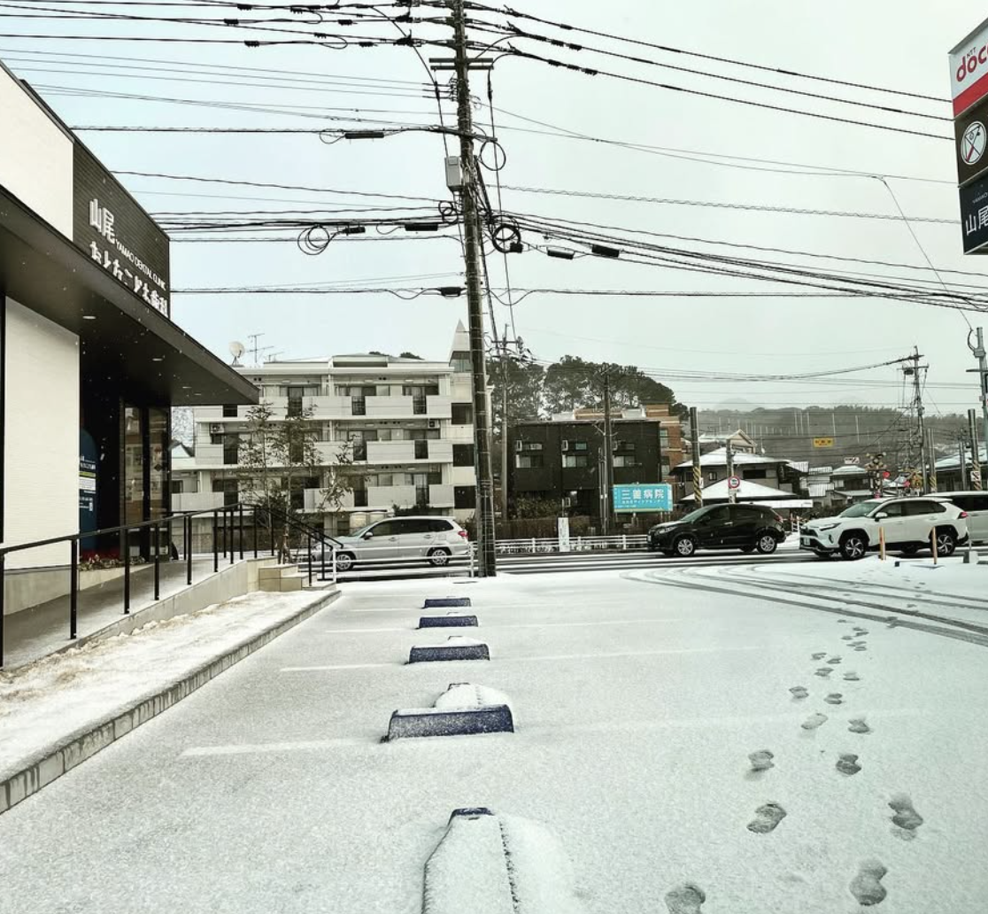 スタディグループセッションにて発表｜日本審美歯科協会40周年記念講演会