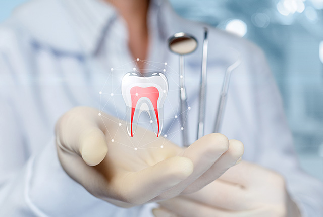 手のひらに輝く歯のモニュメント